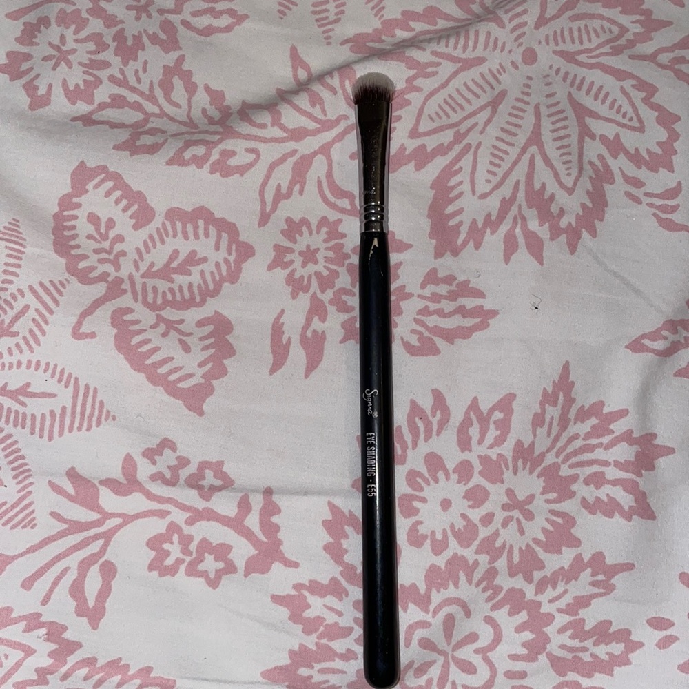 Sigma e55 brush